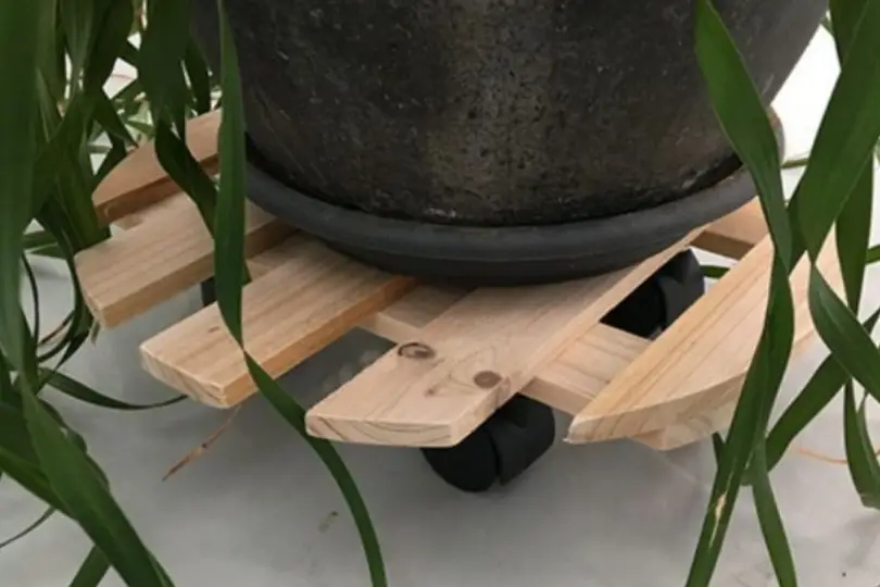 Comment construire un porte-plante sur roulettes ?