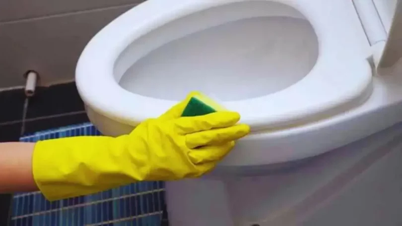Comment Nettoyer l'Évier et les WC Naturellement : 3 Astuces Efficaces