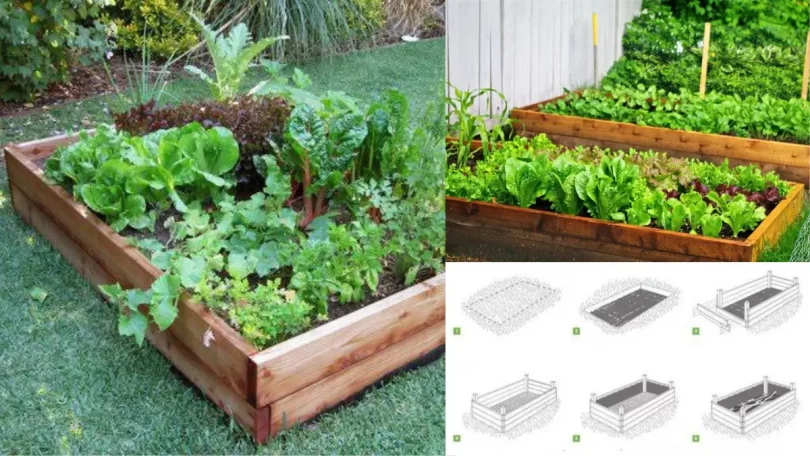 Comment construire un lit surélevé simple pour les plantes