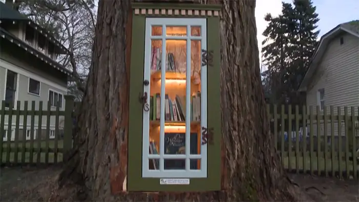 Une femme transforme un arbre mort de 110 ans en une bibliothèque gratuite pour le quartier