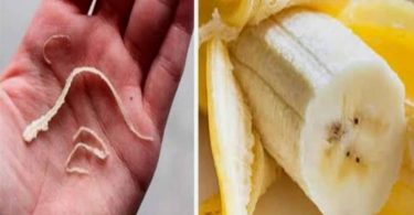 L'Importance des Ficelles Blanches sur les Bananes