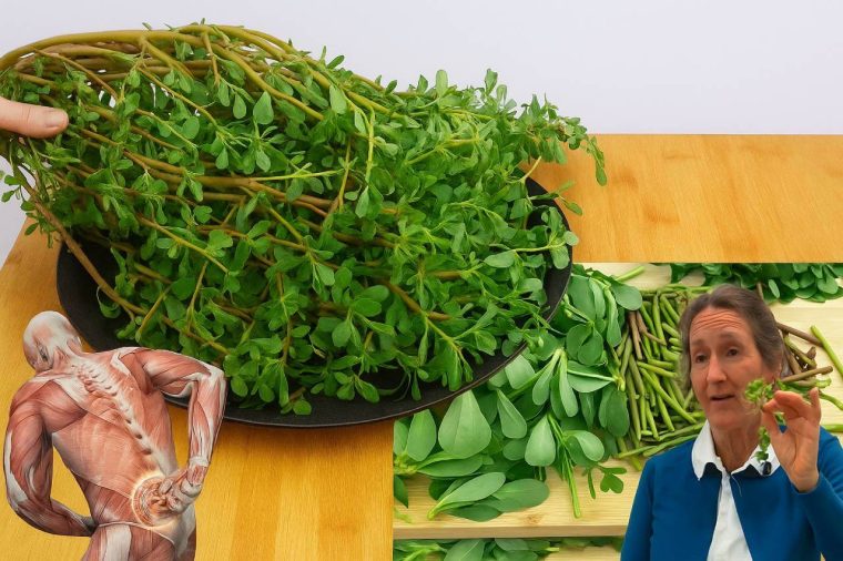 Discover the Hidden Gem of Your Garden: 8 Irresistible Reasons to Embrace Purslane